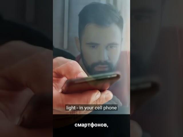 Вот почему у вас такая сильная тяга к сладкому...