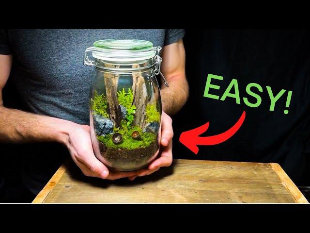 DIY Jar Terrarium: A Beginners Guide