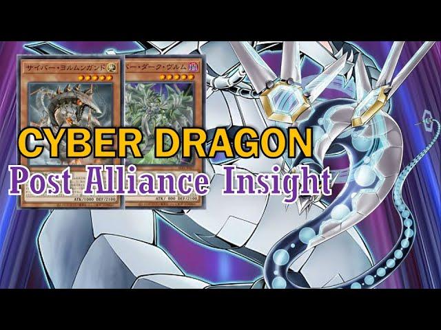 [NEW] CYBER DRAGON deck Dec.2024 | Post Alliance Insight