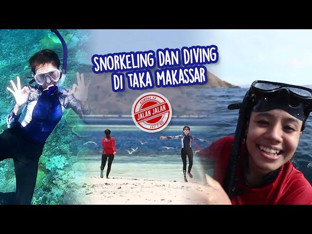 DIVING DAN SNORKELING DI TAKA MAKASSAR TAMAN NASIONAL KOMODO DI SPOT SIABA BESAR DAN BATU BOLONG