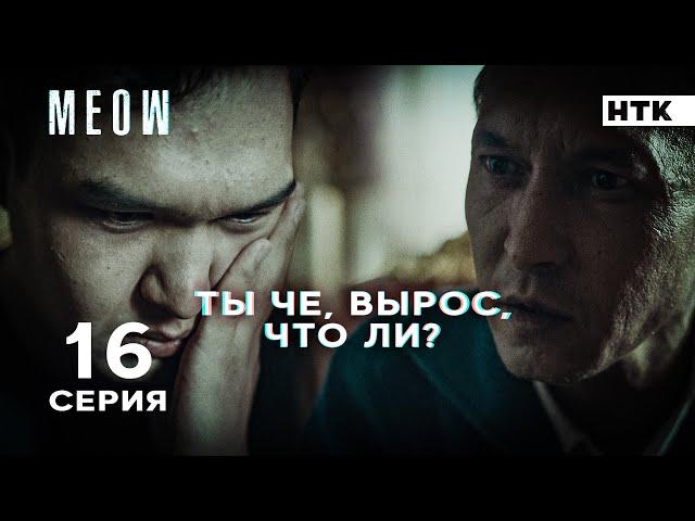 Не быкуй, по-хорошему реши | MEOW - 16 серия [4K]