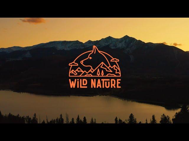 Wild Nature Dog Treats Brand Story