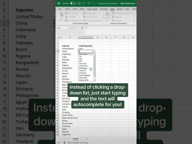 AUTOCOMPLETE Drop-downs #excel