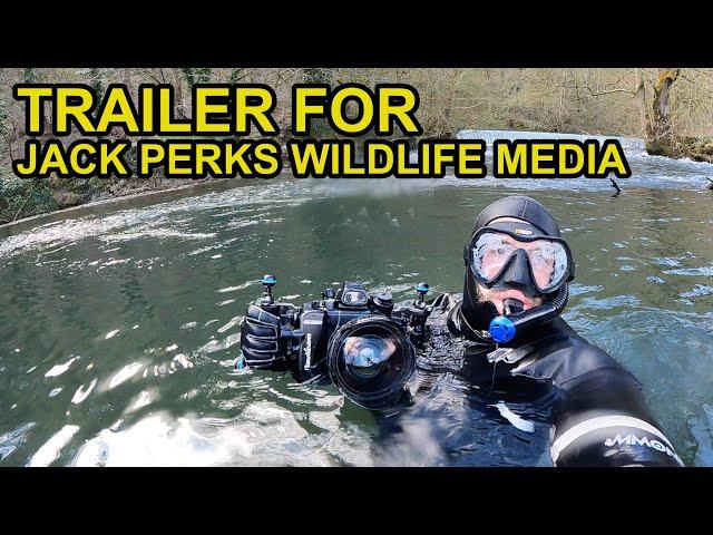 Welcome to Jack Perks Wildlife Media