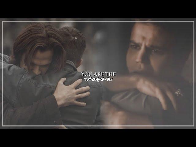 Winchester & Salvatore Brothers || You are the reason