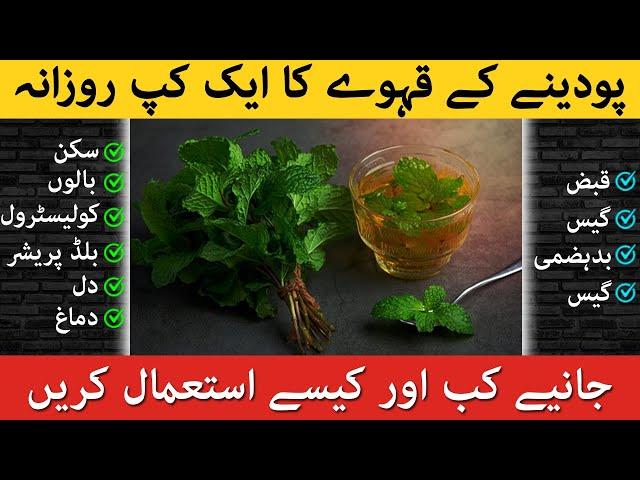 Pudina Ka Kahwa Peene Ke Fayde | Pudina Ka Kahwa Benefits In Urdu | Podina Ke Fayde