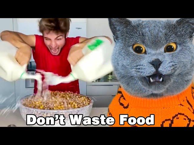 Just Use A Little Oscar! It’s Not Good To Waste Food|Oscar‘s Funny World|Cute And Funny Cat TikTok