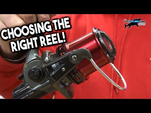 Choosing the Best Fixed Spool Spinning Reel for Beach Fishing | TAFishing