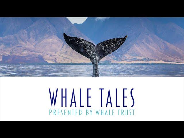 Whale Tales 2024 Program