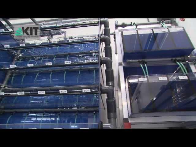 European Zebrafish Resource Center (EZRC) at KIT