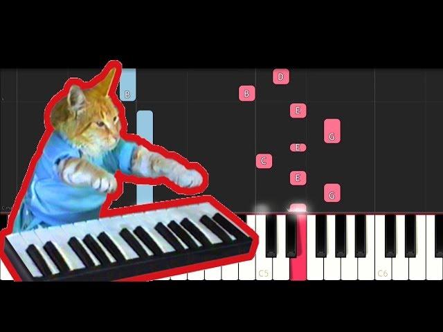 Keyboard Cat Theme (Piano Tutorial)