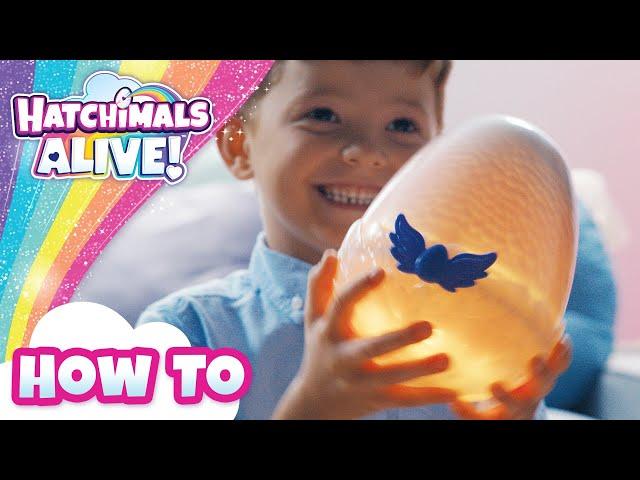 Who Will You Hatch? | Hatchimals Alive Mystery Hatch | How To Video