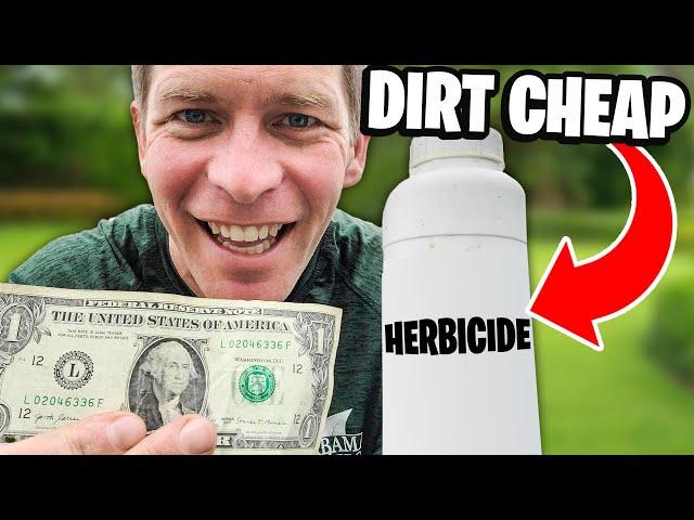 Cheap Weed Killer Pros Use for Under $1 per Lawn