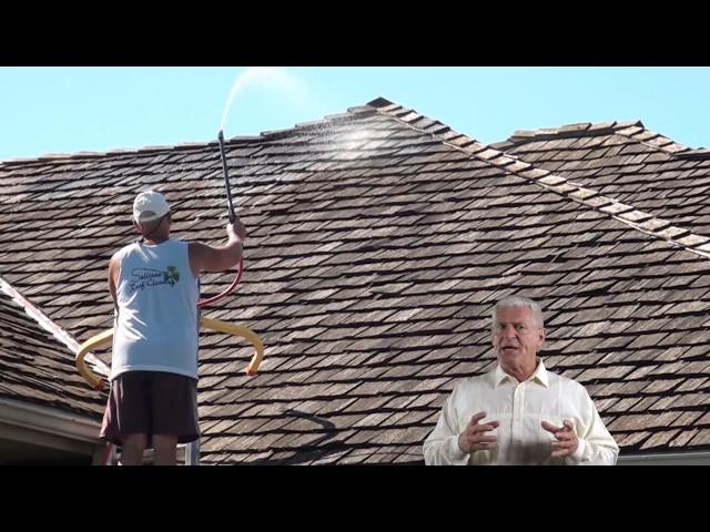 cedar roof cleaning Minneapolis and St Paul Minnesota