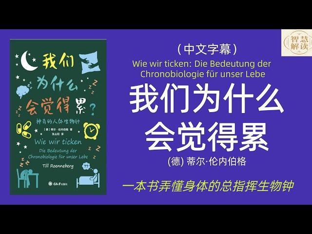 有声书《我们为什么会觉得累》解读，著名心理学教授讲述我们的生物钟是怎样运行的