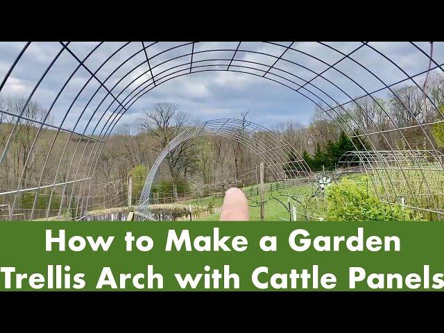 How to Make a Garden Trellis Arch with Cattle Panels