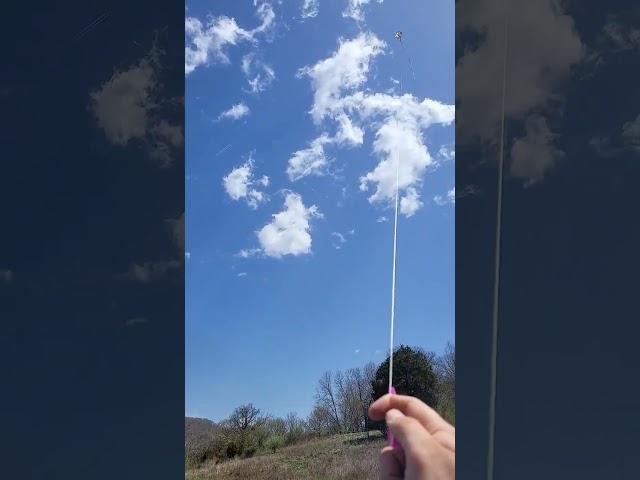 Making use of a windy Day! #country #kite #windy #spring