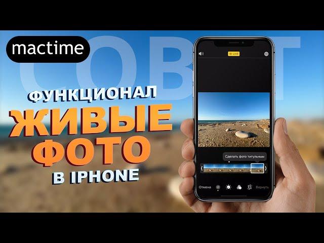 Скрытый функционал живых фото в iPhone