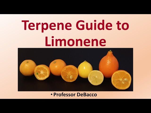 Terpene Guide to Limonene