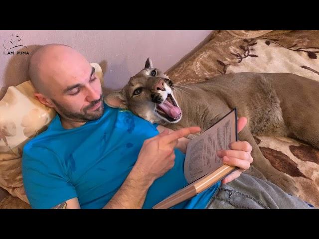 Puma Messi prevents Sasha from reading a book