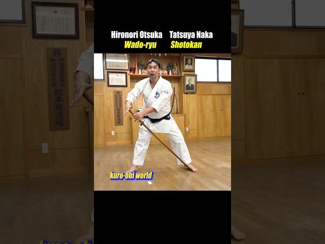 Why punch diagonally? [Wado-ryu Karate]