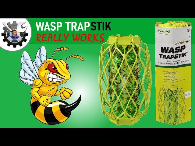 Wasp TrapStik - Really works to safely trap all types of wasps.