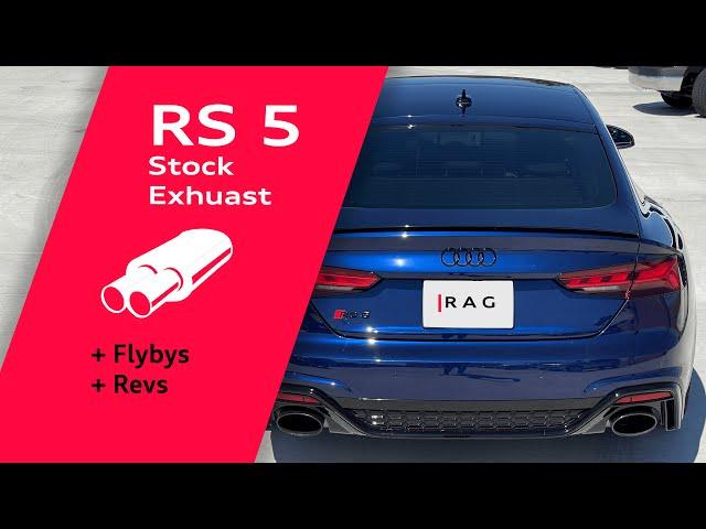 Stock Exhaust B9 2021 Audi RS5 Flybys, Revs, No Talking #audi #rs5