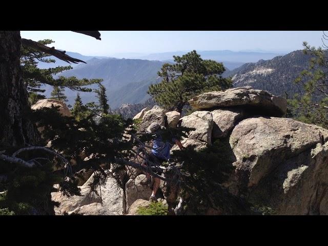 Allan Climbs San Jacinto