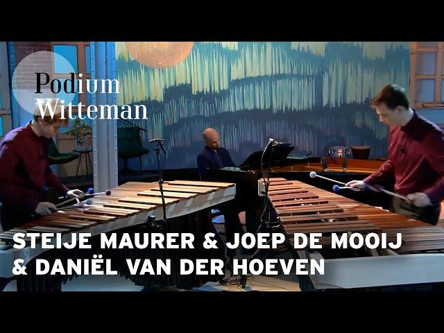 Steije Maurer & Joep de Mooij & Daniël van der Hoeven  - Klavierconcert nr.1: Allegro - J.S. Bach