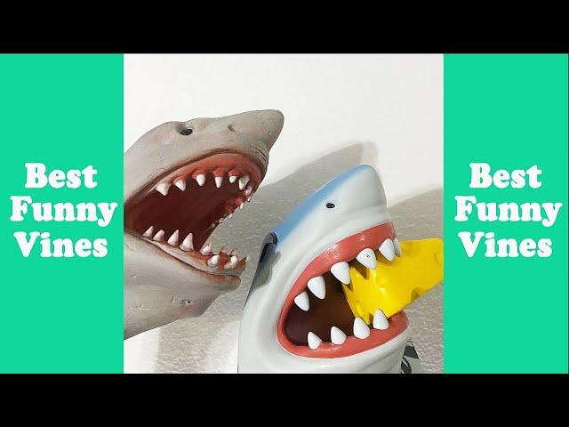 Funny Shark Puppet Funny Compilation 2020 (W/Titles) Best Shark Puppet Vine Videos