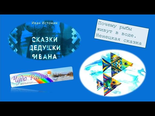 Чудо Радио.   Почему рыбы живут в воде. Иван Истомин.  Ненецкая сказка