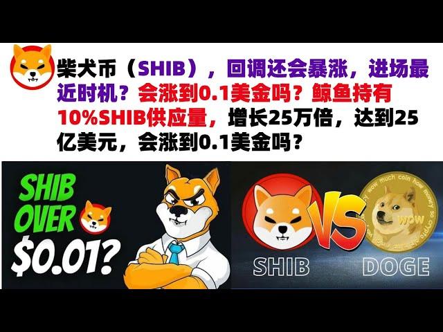 柴犬币（SHIB），回调还会暴涨，进场最近时机？会涨到0.1美金吗？鲸鱼持有10%SHIB供应量，增长25万倍，达到25亿美元，最初投资仅1万美元，会涨到0.1美金吗#shib币#柴犬币#屎币行情分析