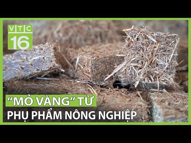 Biến phụ phẩm nông nghiệp thành "vàng" | VTC16