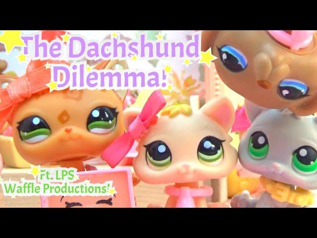 LPS: The Dachshund Dilemma, Funny Skit! (Ft. LPS Waffle Productions!!)