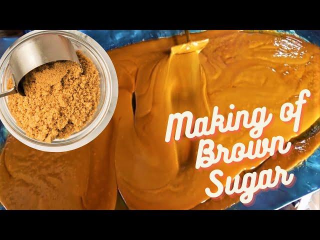 BROWN SUGAR TRADITIONAL MAKING PROCEDURE - HOW TO MAKE BROWN SUGAR WITH SUGAR CANE | Hadia's Cooking