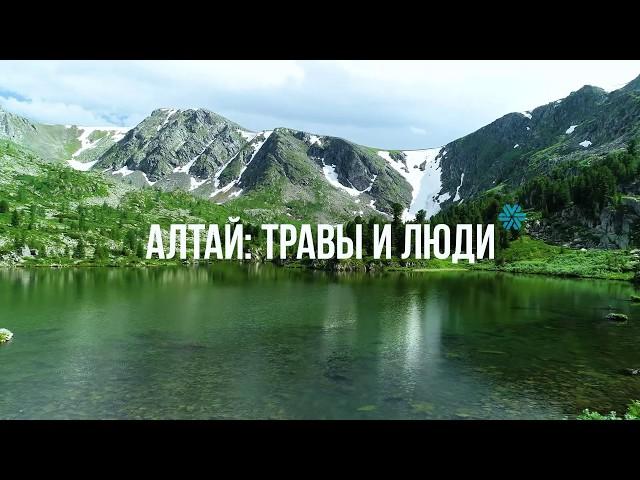 "Сибирь – это наше все!": интервью для Siberian Wellness