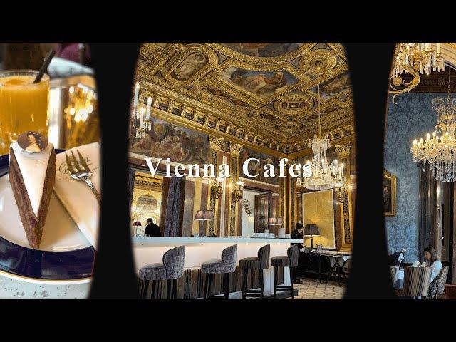 Cafes in Vienna hits & misses and the most beautiful cafe in the world?