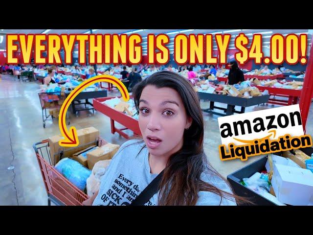 Amazon Liquidation Bin Digging! Everything is ONLY $4!