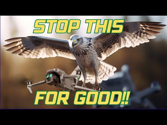 I Did This ONE Thing To Stop Birds Attacking My Drone!