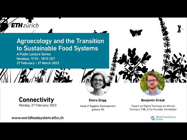 Focus on Connectivity: Agroecology and the Transition to Sustainable Food Systems