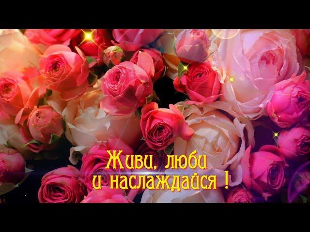 Твоя  Улыбка так  прекрасна !