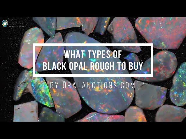 What types of Black Opal Rough to buy? | Opal Auctions