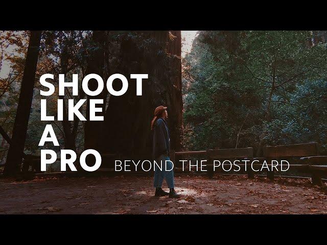 #ShootLikeAPro | #BeyondThePostcard: Exploring the Redwoods