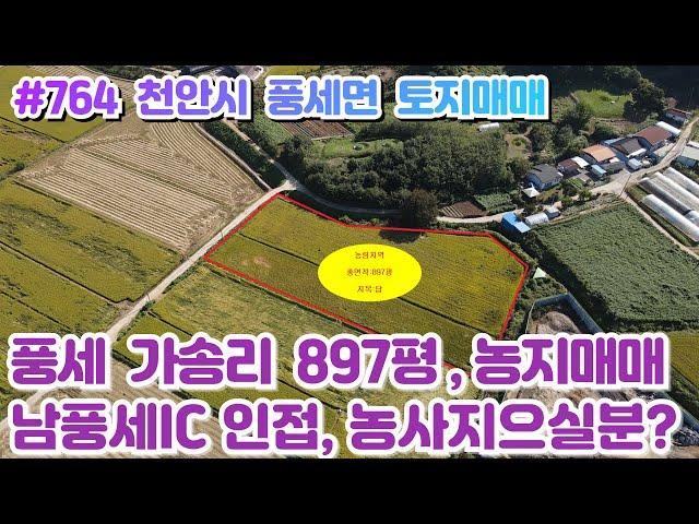 (매물#764) 천안시 풍세면 가송리 토지농지매매, 897평 답, 사통팔달 접근성 좋은 농사짓기 좋은곳!