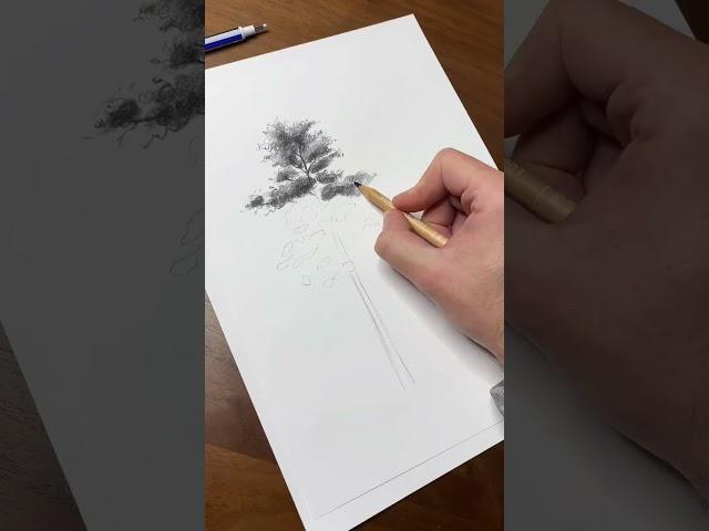 Disegniamo un semplice albero daje