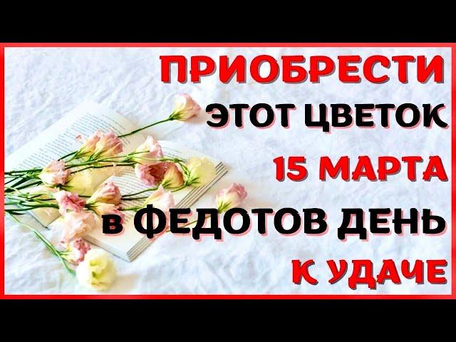 15 марта народный праздник ФЕДОТОВ ДЕНЬ. Что запрещено. Традиции и приметы.