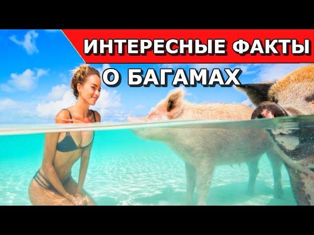 Багамские острова. Интересные факты о Багамских островах