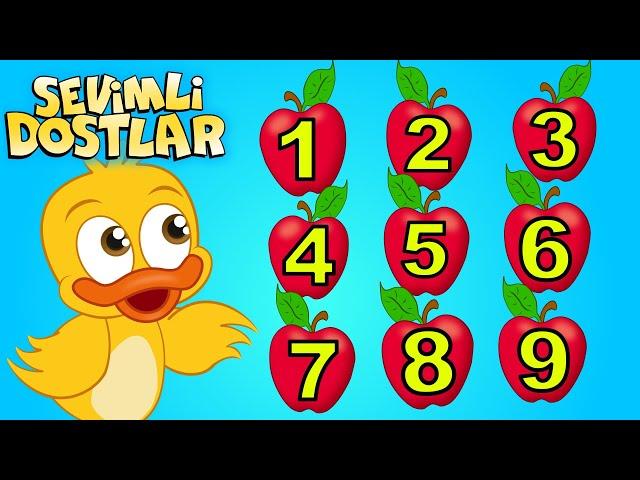 Sevimli Dostlar ile sayıları öğreniyorum | Say bakalım | Bebek Şarkıları | Kids songs Nursery Rhymes