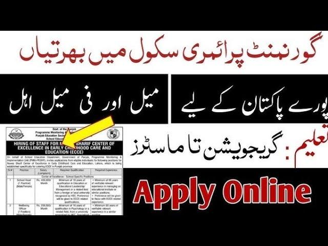 Government Female Teachers Jobs 2024 || Girls College & Schools Teachers Jobs 2024