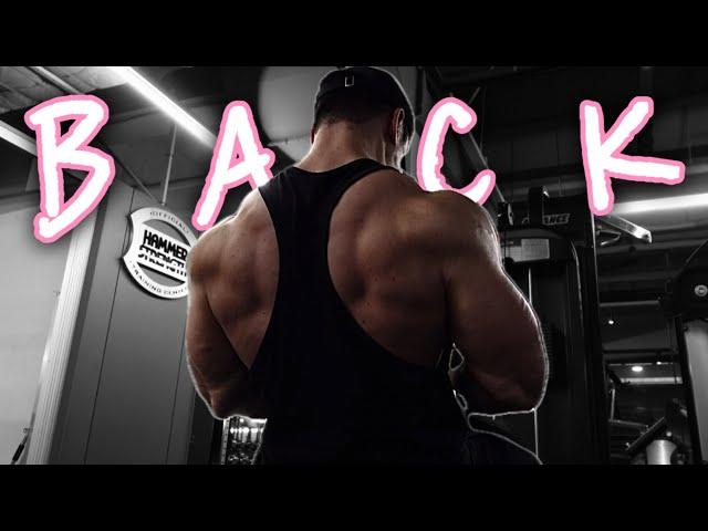 업그레이드를 위한 새로운 등운동 [ BACK DAY ]